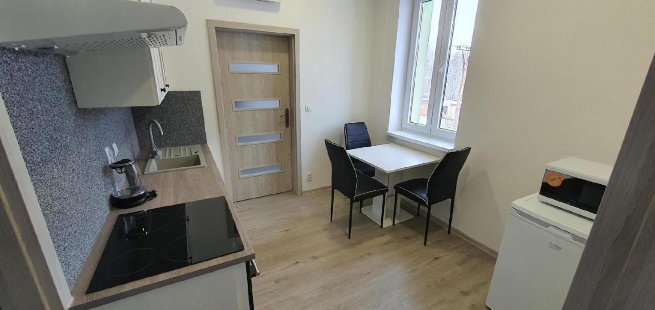Apartment 35M2 Карлові Вари Екстер'єр фото