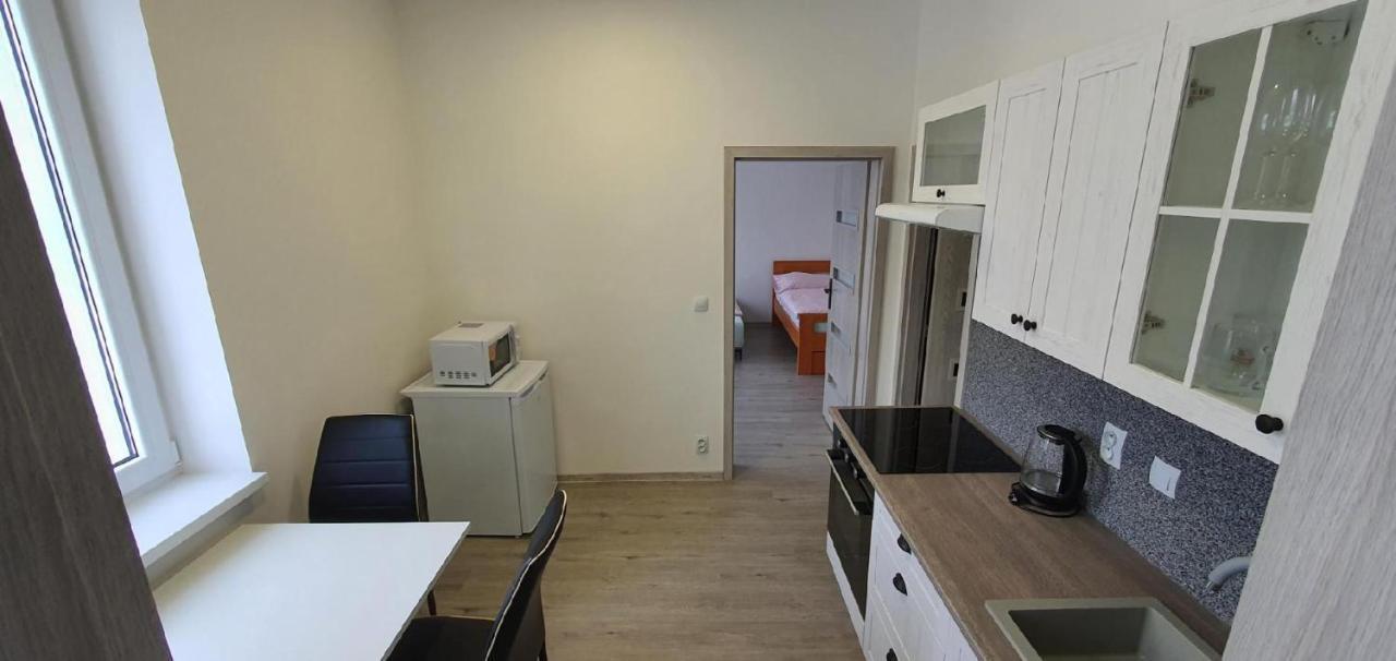 Apartment 35M2 Карлові Вари Екстер'єр фото