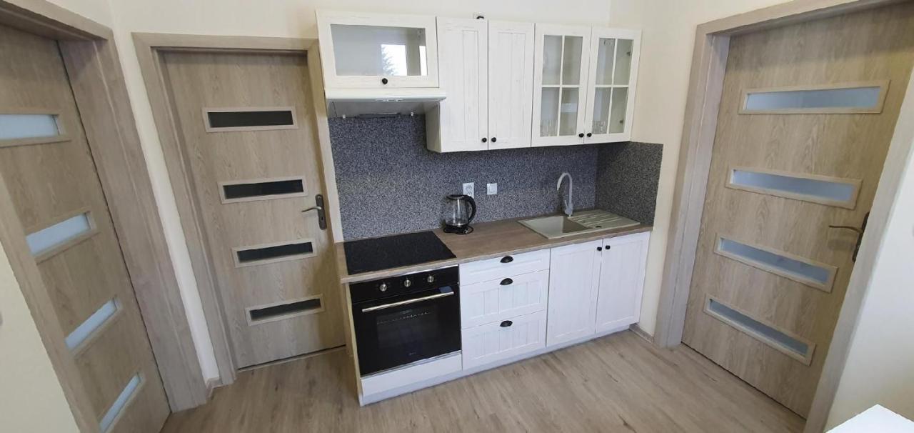 Apartment 35M2 Карлові Вари Екстер'єр фото